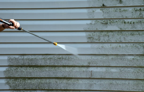 Trusted South Shore, KY Pressure Washing Services Experts