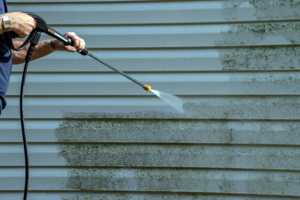 Best Concrete Surface Cleaning in South Shore, KY
